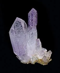 A natural cluster of pale violet crystal points against a black background