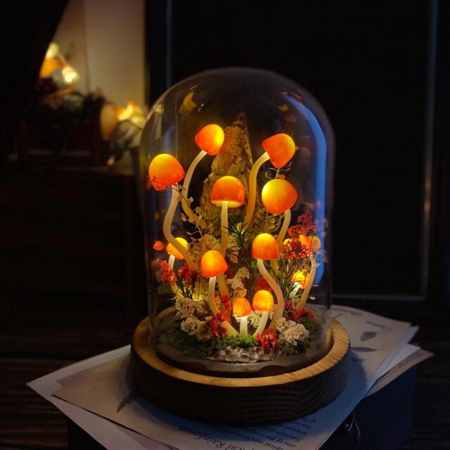 Enchanted Mushroom Forest Night Light original gallery image 1