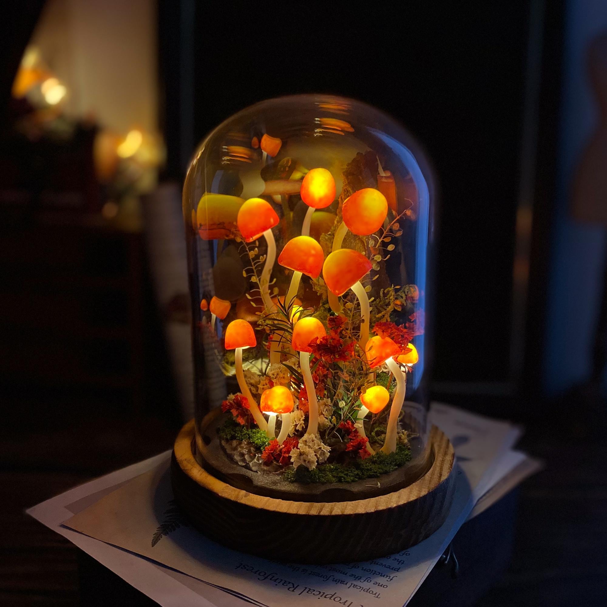Enchanted Mushroom Forest Night Light original gallery image 3