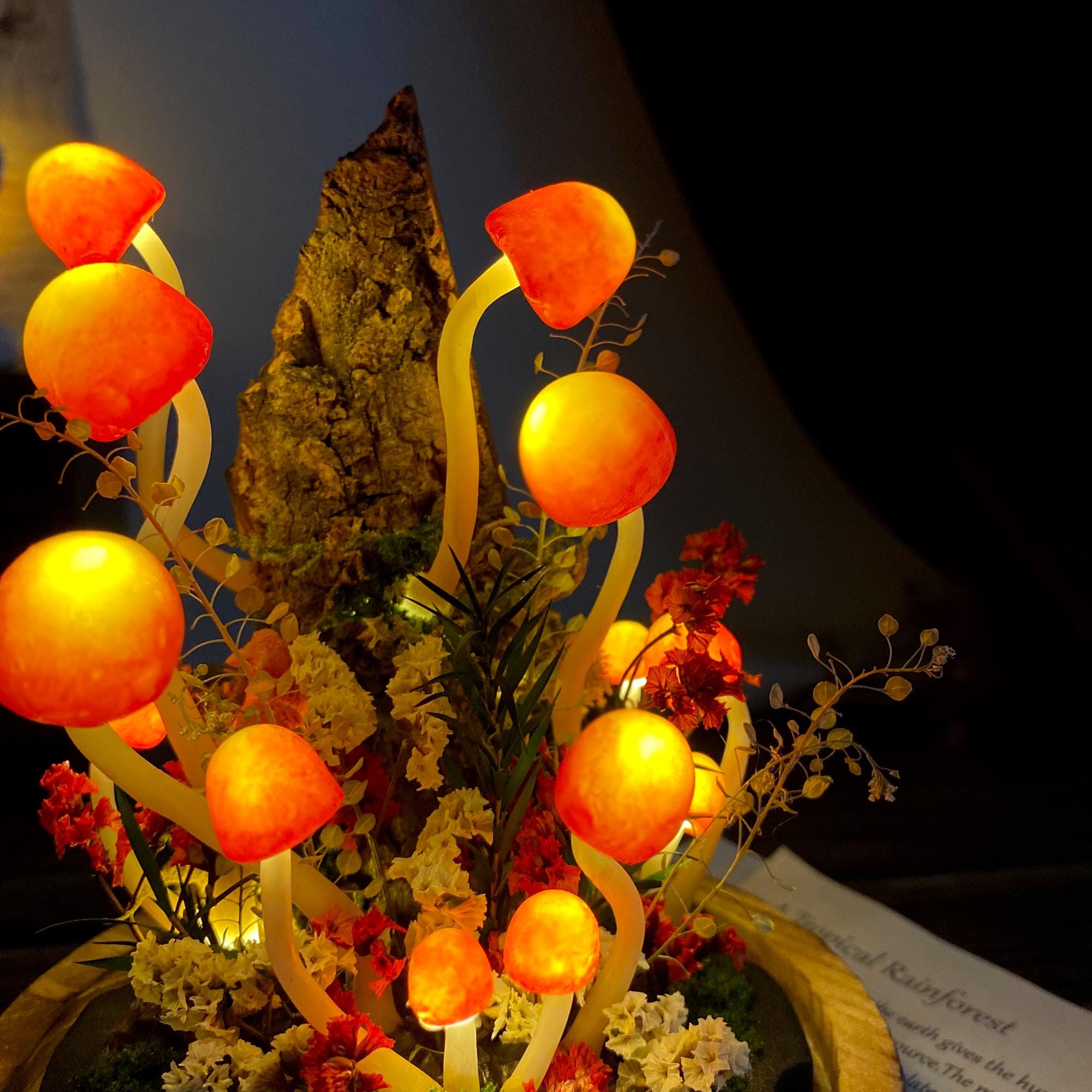 Enchanted Mushroom Forest Night Light original gallery image 4